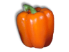 Captcha image 1417